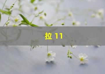 拉 11